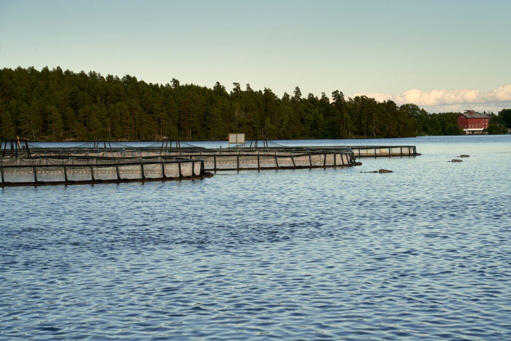 Installations d’aquaculture sur un plan d’eau