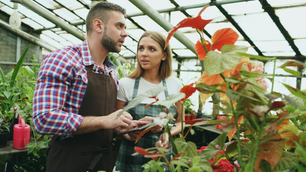 Conseil et étude d’un projet agricole sous serre